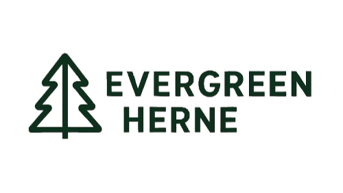  Evergreen-herne